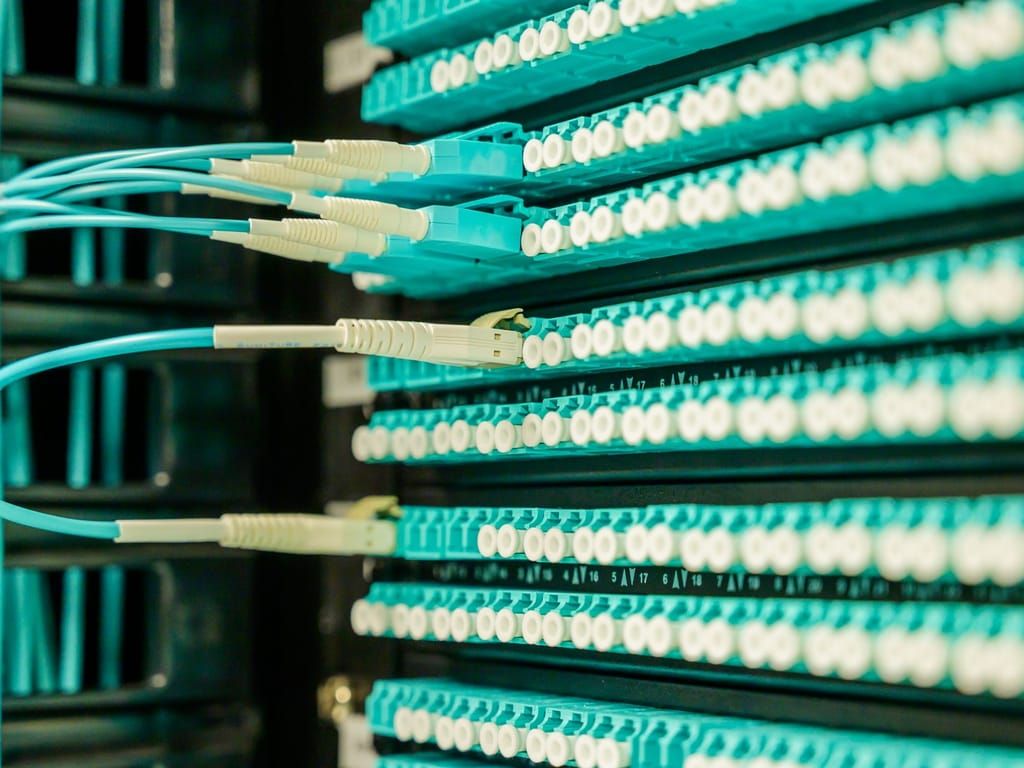 Patchfeld mit geordnet gesteckten Netzwerkkabeln